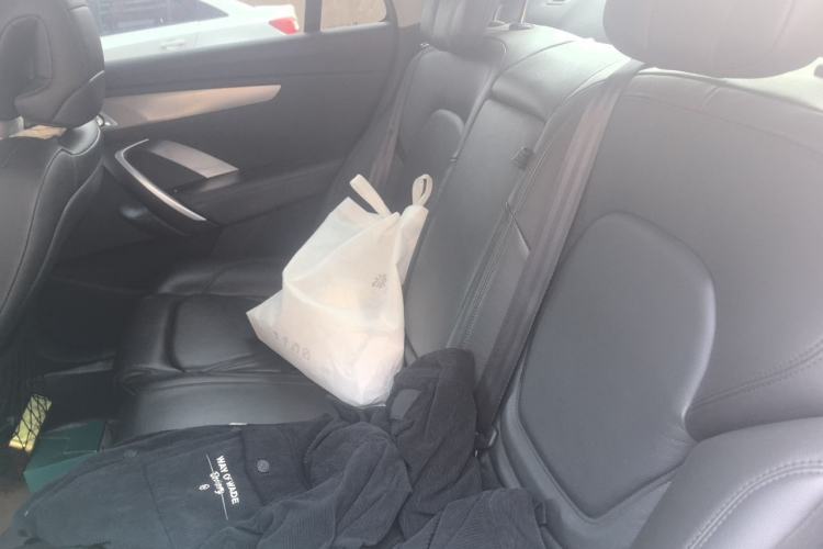 Used DS 5LS 2014 1.6T Luxury Edition THP160 Left Rear Seat