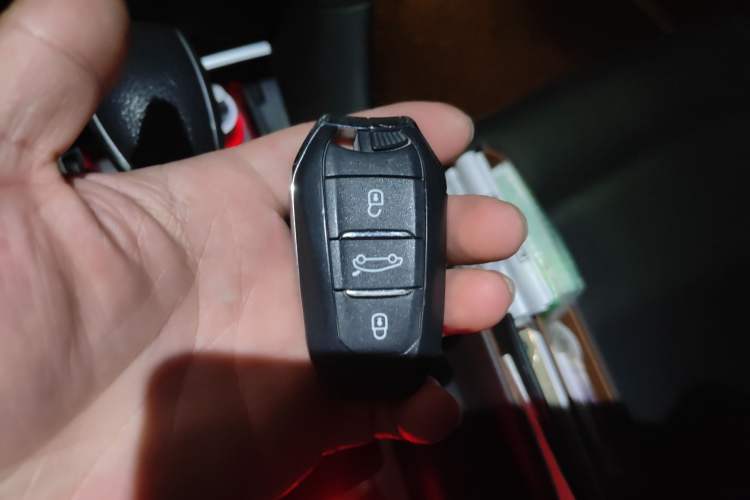 Used DS 5LS 2014 1.6T Luxury Edition THP160 Vehicle Key