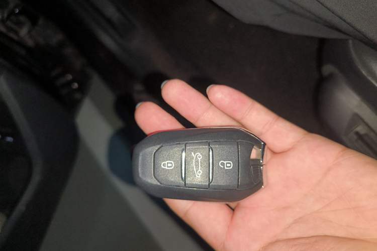Used DS 5LS 2014 1.6T Luxury Edition THP200 Vehicle Key