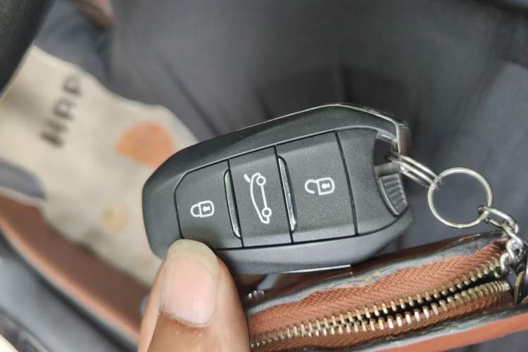 Used DS 5LS 2014 1.8L Elegant Edition VTi140 Vehicle Key