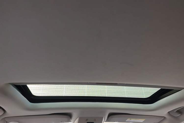 Used DS 5LS 2014 1.6T Elegant Version THP160 Headliner