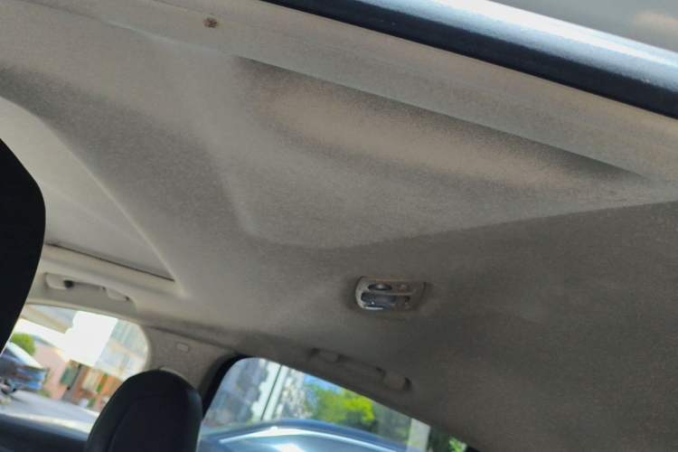 Used DS 5LS 2014 1.6T Elegant Version THP160 Headliner
