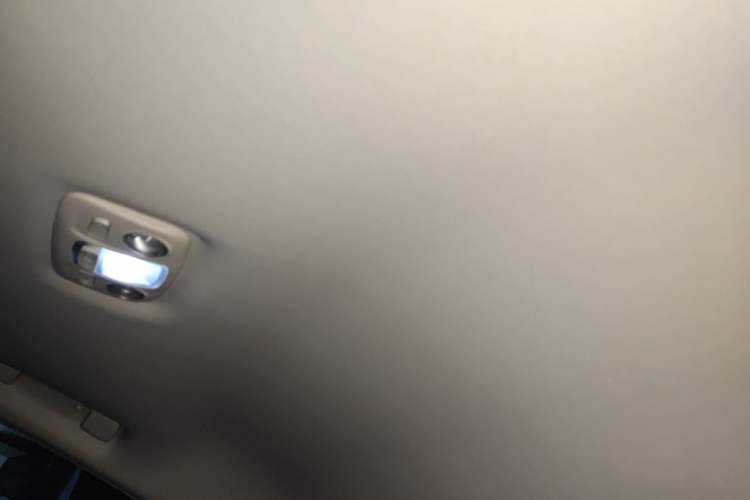 Used DS 5LS 2014 1.6T Elegant Version THP160 Headliner