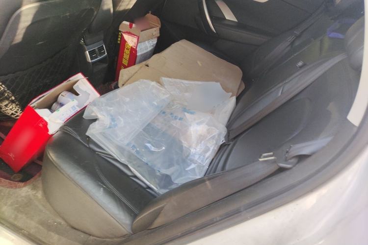Used DS 5LS 2014 1.6T Luxury Edition THP160 Left Rear Seat