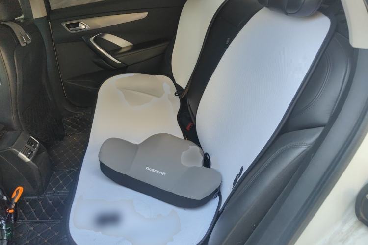 Used DS 5LS 2014 1.6T Luxury Edition THP160 Left Rear Seat