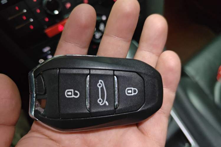 Used DS 5LS 2014 1.6T Luxury Edition THP160 Vehicle Key
