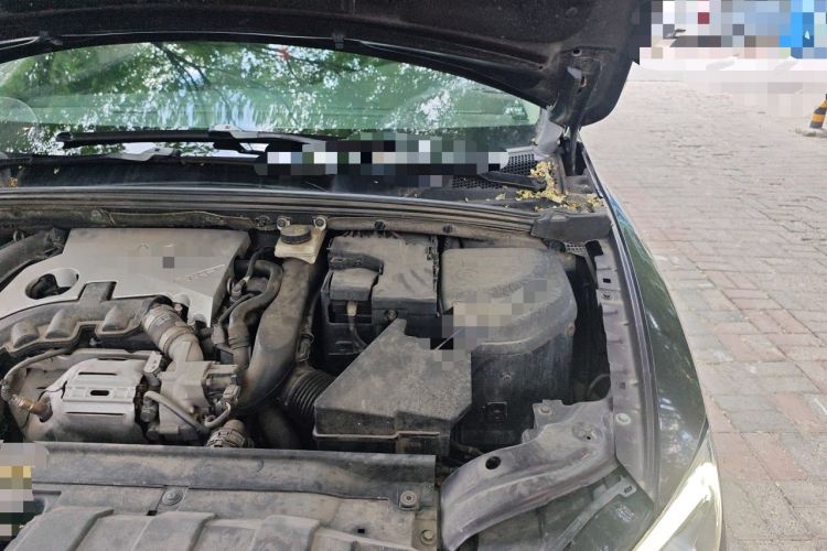 Used DS 5LS 2016 1.6T Style Edition THP160 Engine Bay Left