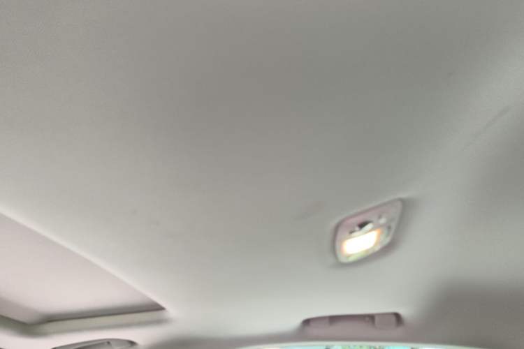Used DS 5LS 2016 1.6T Style Edition THP160 Headliner