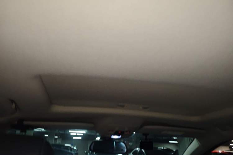 Used DS 5LS 2016 1.6T Elegant Edition THP160 Headliner