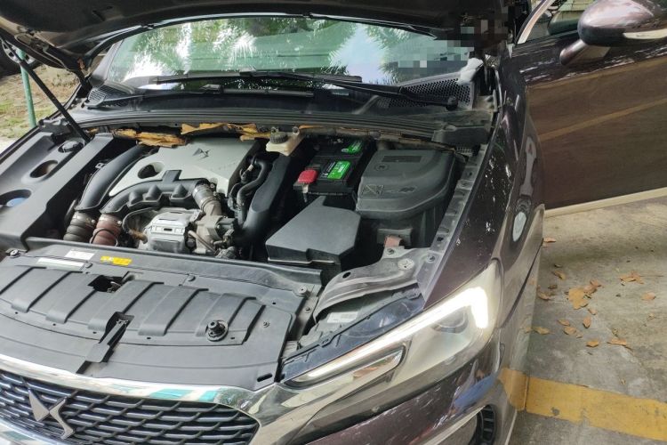 Used DS 5LS 2018 30THP Fashion Model Engine Bay Left