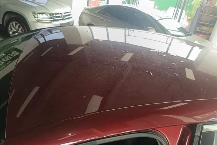 Used DS 5LS 2018 30THP Fashion Model Roof