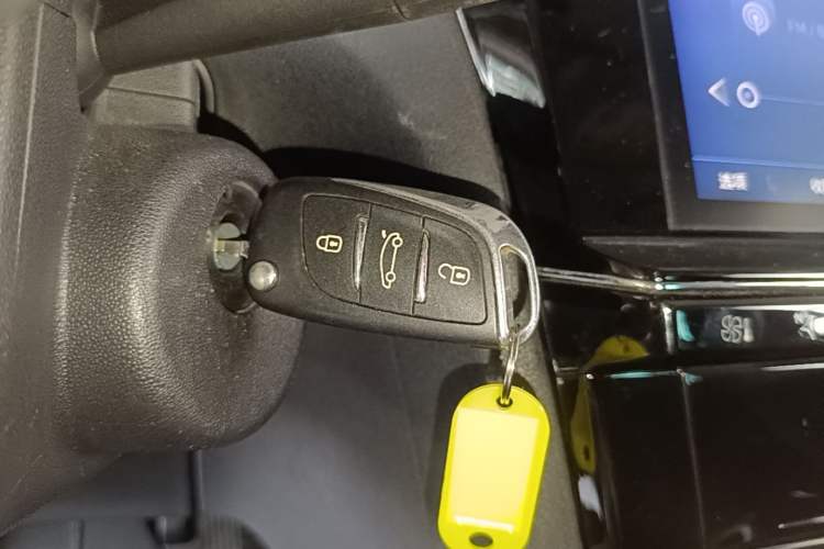 Used DS 5LS 2018 30THP Fashion Model Vehicle Key