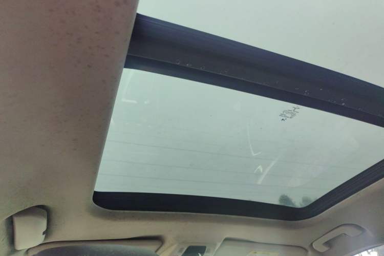 Used DS 6 2014 1.6T Luxury Edition THP200 Headliner