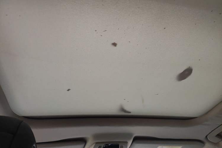 Used DS 6 2014 1.6T Luxury Edition THP200 Headliner