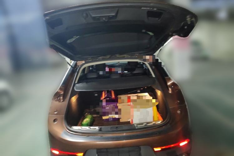 Used DS 6 2014 1.6T Luxury Edition THP160 Trunk