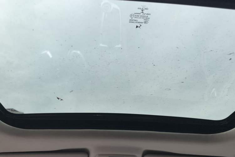 Used DS 6 2014 1.6T Luxury Edition THP160 Headliner
