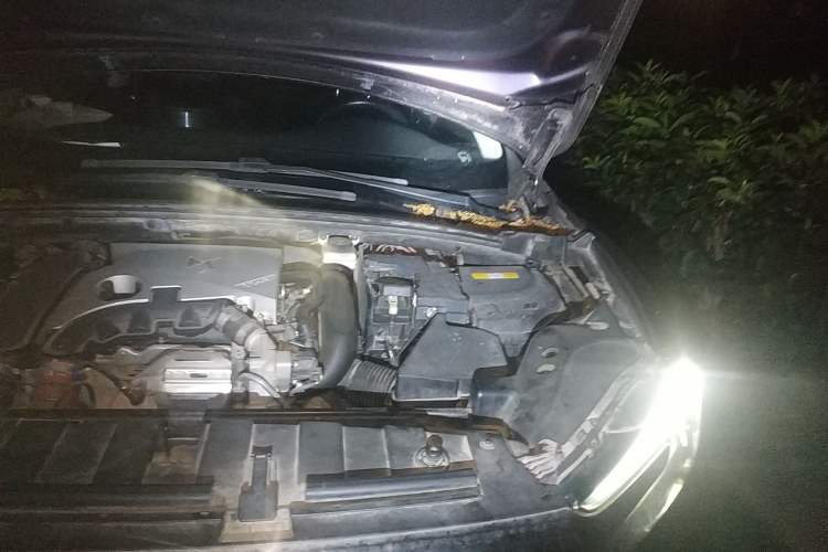 Used DS 6 2016 1.6T Luxury Edition THP160 Engine Bay Left