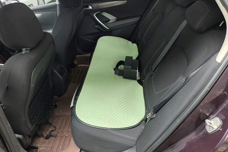 Used DS 6 2016 1.6T Elegant Edition THP160 Left Rear Seat