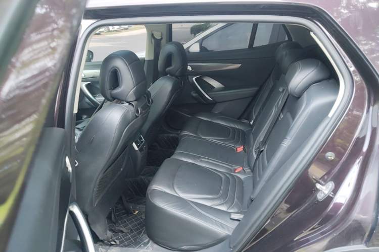 Used DS 6 2016 1.6T Luxury Edition THP160 Left Rear Seat