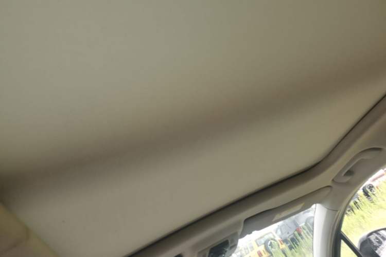Used DS 6 2016 1.6T Luxury Edition THP160 Headliner
