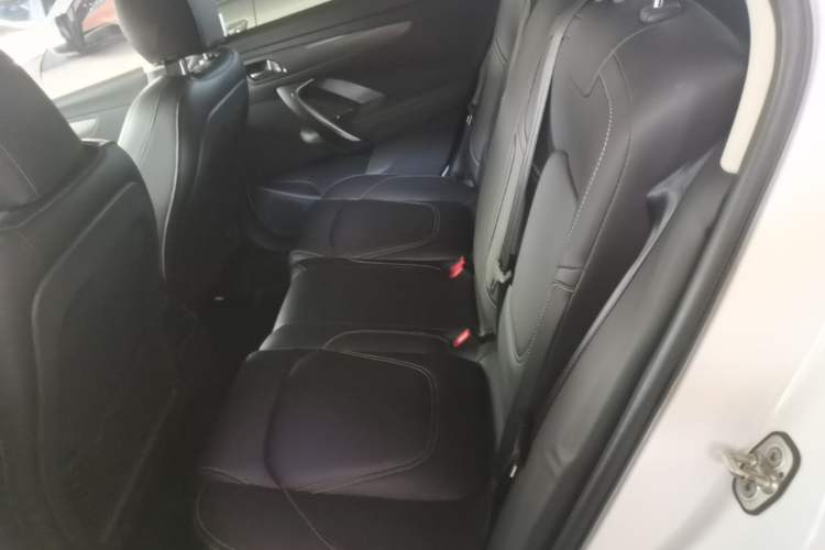 Used DS 6 2016 1.6T Elegant Edition THP160 Left Rear Seat