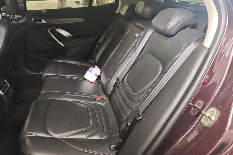 Used DS 6 2017 1.6T Luxury Edition THP160 Left Rear Seat