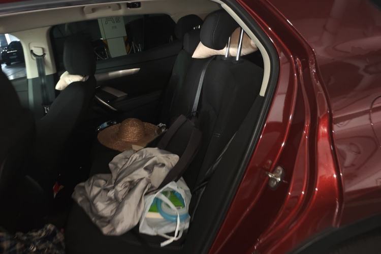 Used DS 6 2018 30THP ZhiShang Model Left Rear Seat