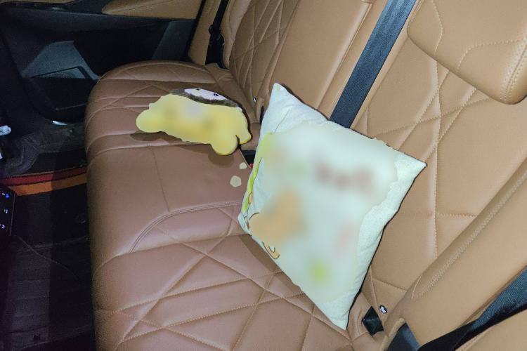 Used DS 7 2018 45THP Rivoli Pioneer Edition Left Rear Seat