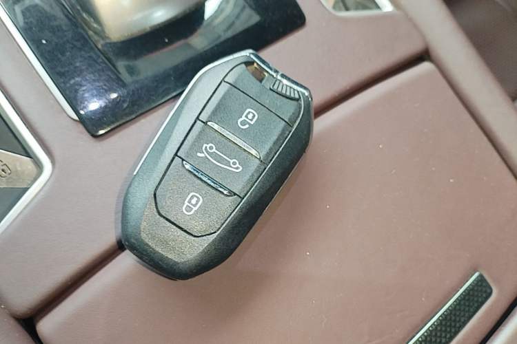 Used DS 9 New Energy 2021 1.6T E-TENSE Opera Plug-in Hybrid Edition Vehicle Key