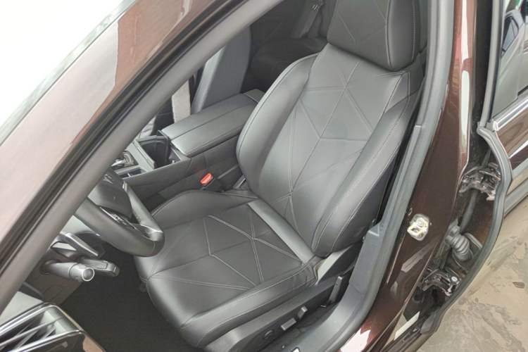 Used DS 9 New Energy 2021 1.6T E-TENSE Montmartre Advanced Plug-in Hybrid Left Front Seat