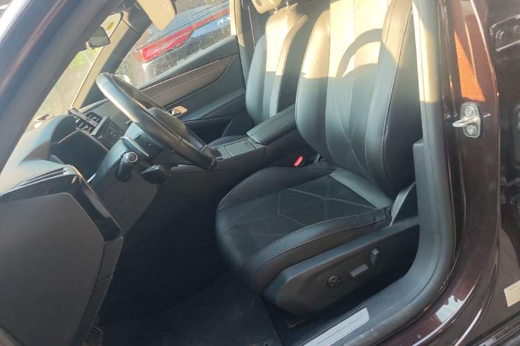 Used DS 9 New Energy 2021 1.6T E-TENSE Montmartre Advanced Plug-in Hybrid Left Front Seat