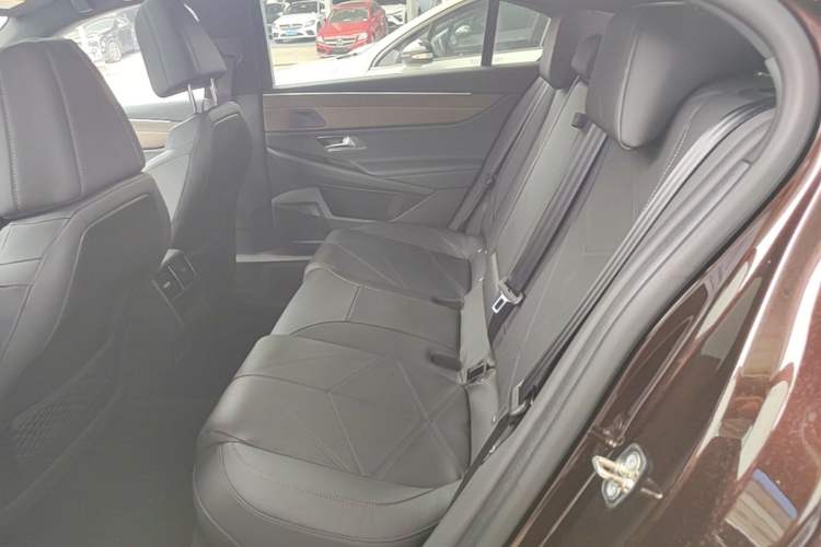 Used DS 9 New Energy 2021 1.6T E-TENSE Montmartre Advanced Plug-in Hybrid Left Rear Seat