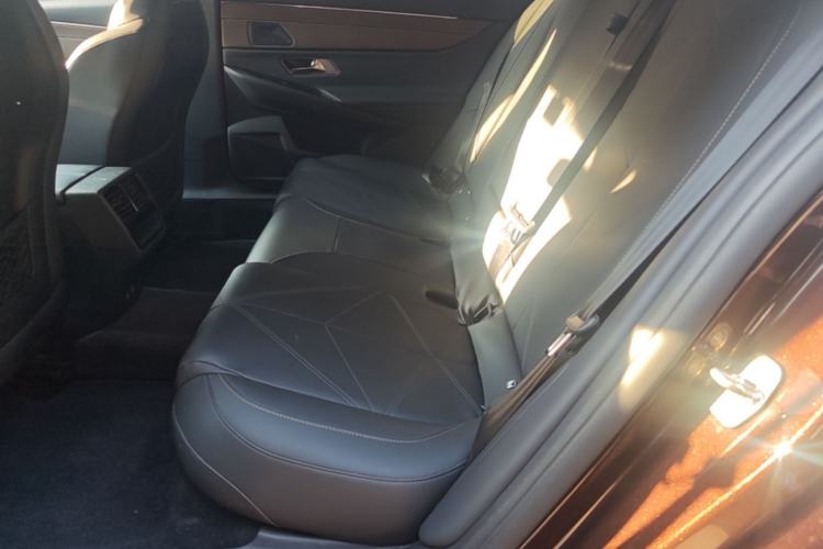 Used DS 9 New Energy 2021 1.6T E-TENSE Montmartre Advanced Plug-in Hybrid Left Rear Seat