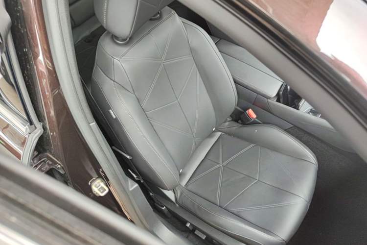 Used DS 9 New Energy 2021 1.6T E-TENSE Montmartre Advanced Plug-in Hybrid Right Front Seat