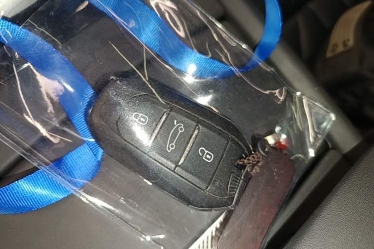 Used DS 9 New Energy 2021 1.6T E-TENSE Rivoli Plug-in Hybrid Edition Vehicle Key