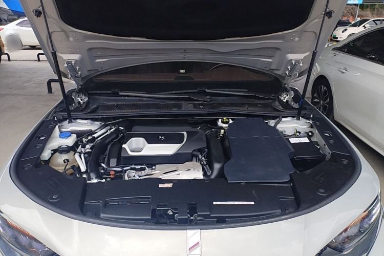 Used DS 9 New Energy 2021 1.6T E-TENSE Opera Plug-in Hybrid Edition Engine Bay