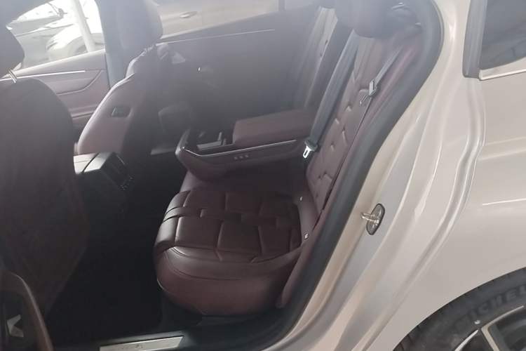 Used DS 9 New Energy 2021 1.6T E-TENSE Opera Plug-in Hybrid Edition Left Rear Seat