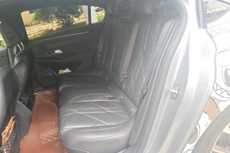 Used DS 9 New Energy 2021 1.6T E-TENSE Opera Plug-in Hybrid Edition Left Rear Seat