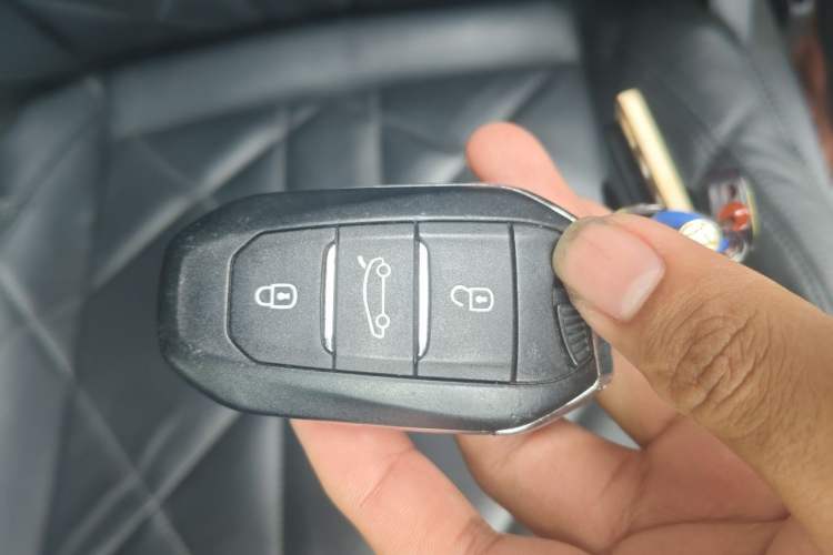Used DS 9 New Energy 2021 1.6T E-TENSE Opera Plug-in Hybrid Edition Vehicle Key