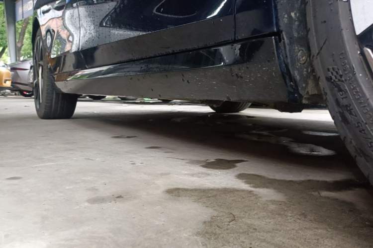 Used DS 9 New Energy 2022 1.6T E-TENSE Opera House Plug-in Hybrid Edition Right Side Sill