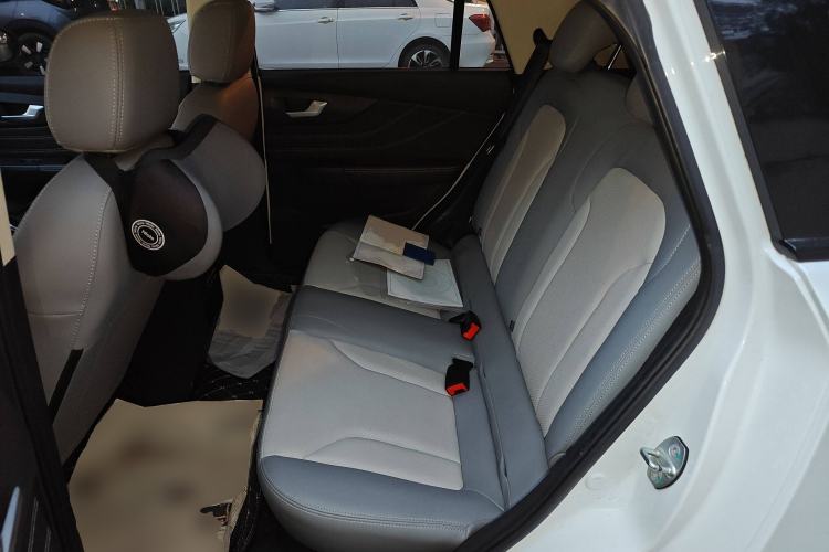 Used Electric House YOUNG Light XiaoXin 2023 408KM Pearl Edition Left Rear Seat