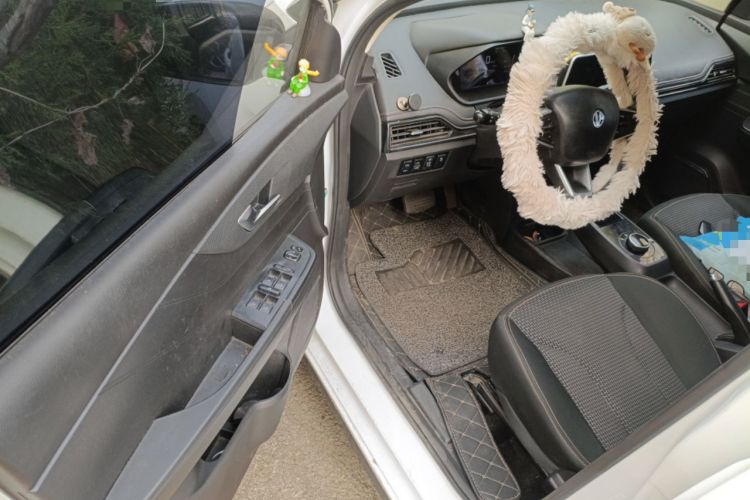 Used Electric House YOUNG Light XiaoXin 2021 S400 4-seater Driver Seat