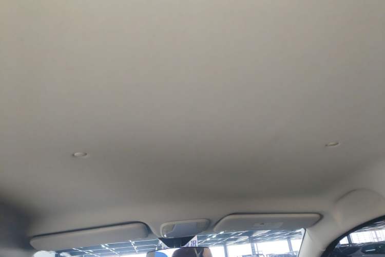 Used Electric House YOUNG Light XiaoXin 2021 S400 4-seater Headliner