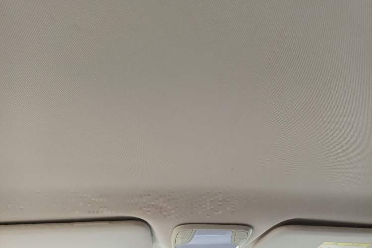 Used Electric House YOUNG Light XiaoXin 2021 S400 4-seater Headliner