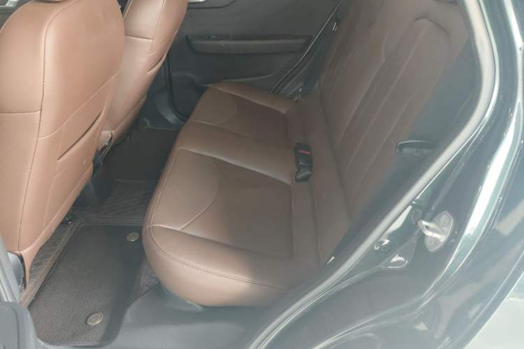 Used Electric House YOUNG Light XiaoXin 2021 S400 4-seater Left Rear Seat