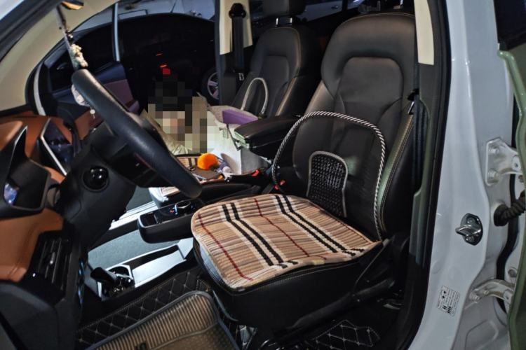 Used Electric House YOUNG Light XiaoXin 2021 L400 4-seater Left Front Seat