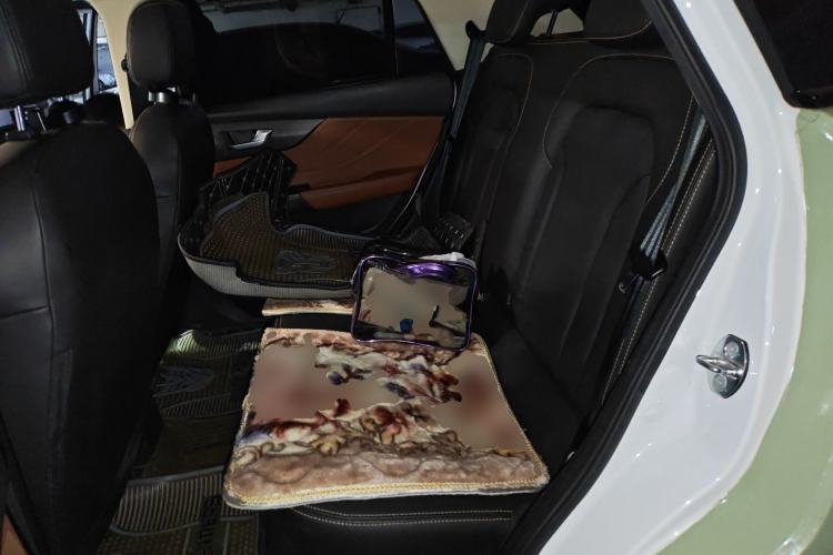 Used Electric House YOUNG Light XiaoXin 2021 L400 4-seater Left Rear Seat