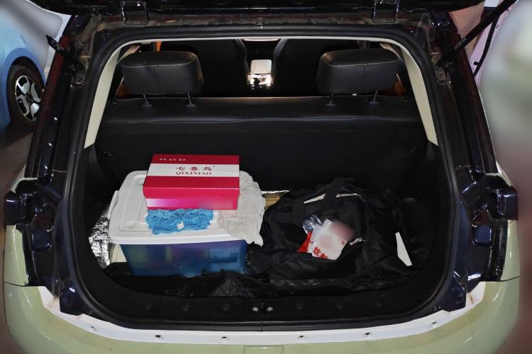 Used Electric House YOUNG Light XiaoXin 2021 L400 4-seater Trunk