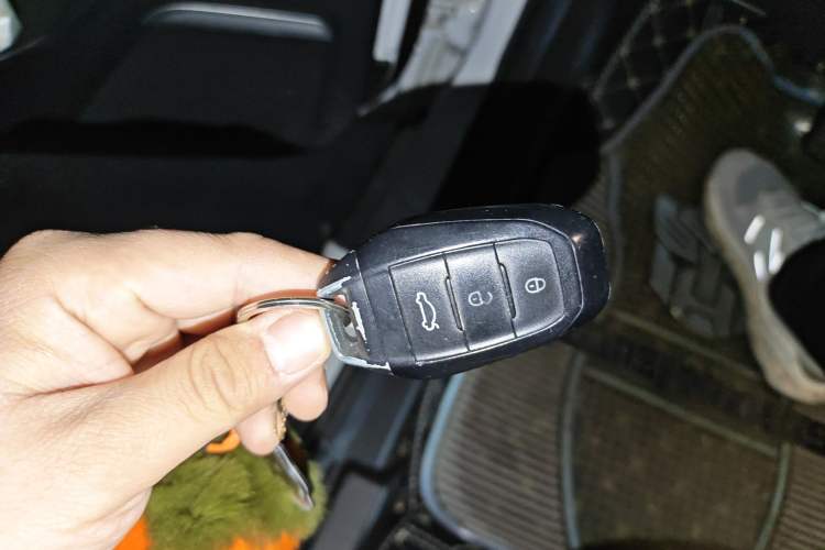 Used Electric House YOUNG Light XiaoXin 2021 L400 4-seater Vehicle Key