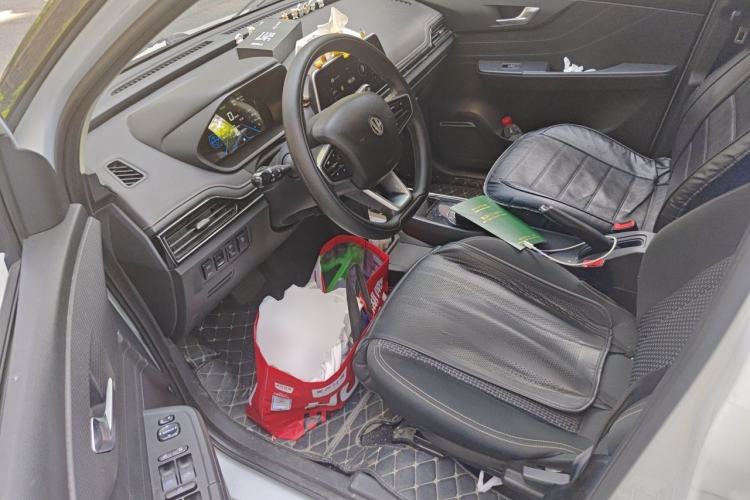 Used Electric House YOUNG Light XiaoXin 2021 S300 4-seater Driver Seat